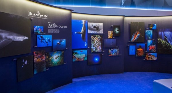 Blancpain Debuts Ocean Commitment Exhibition