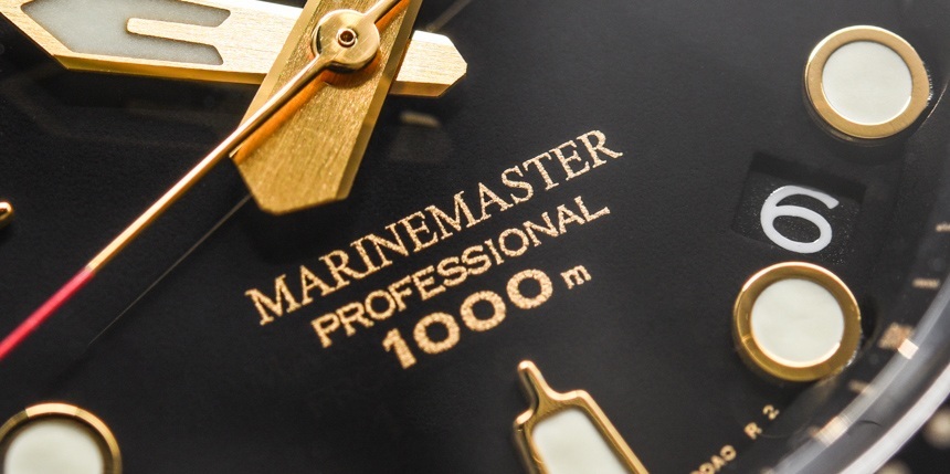 Seiko-Marinemaster-50th-Anniversary-1000M-Hi-Beat-36000-Limited-Edition-8