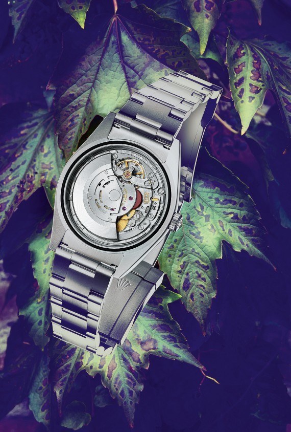 A Watch For 2016 : Rolex Oyster Perpetual 39